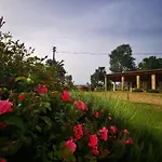 La Casa Dei Tigli Bed & Breakfast