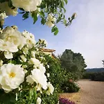 La Casa Dei Tigli 3* Cannara