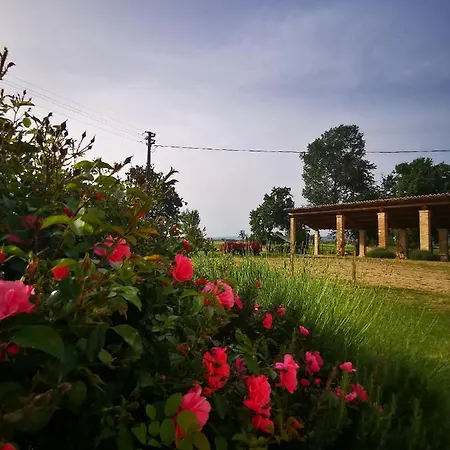 La Casa Dei Tigli Oda ve Kahvaltı