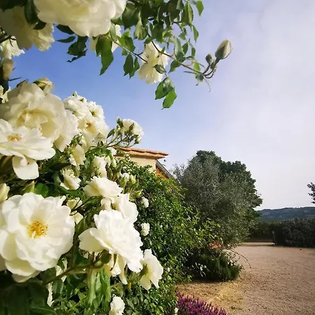 La Casa Dei Tigli 3* Cannara