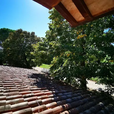 La Casa Dei Tigli Panzió