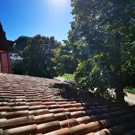 La Casa Dei Tigli * Cannara