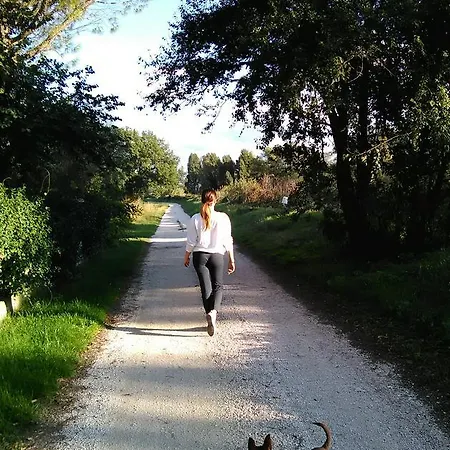 La Casa Dei Tigli *
