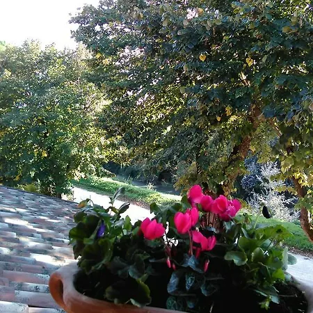 La Casa Dei Tigli Panzió Cannara