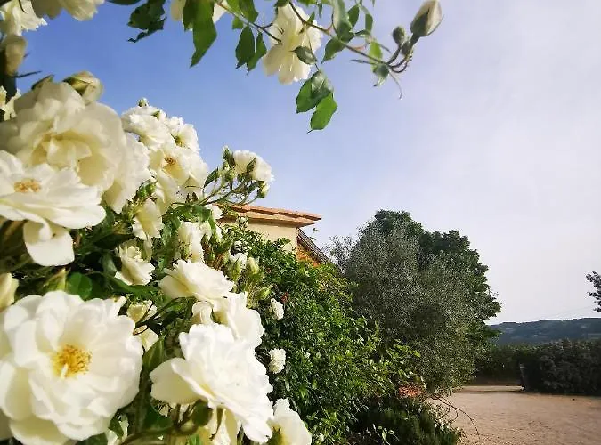 La Casa Dei Tigli 3* Cannara