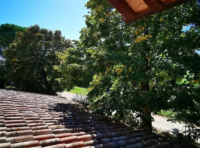 La Casa Dei Tigli Bed & Breakfast